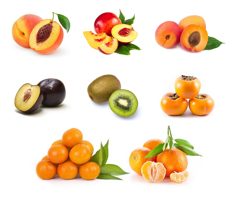 DngFruits